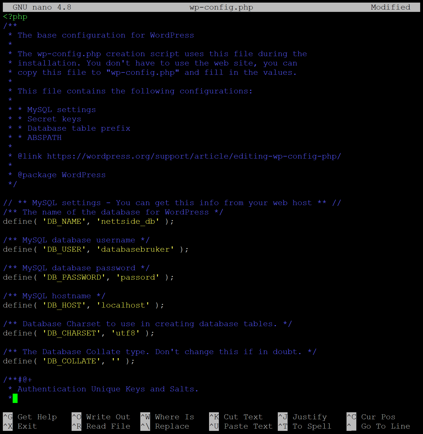 Linjer med innstillinger som PHP-skriptene trenger for å koble seg til database. Skjermbilde.