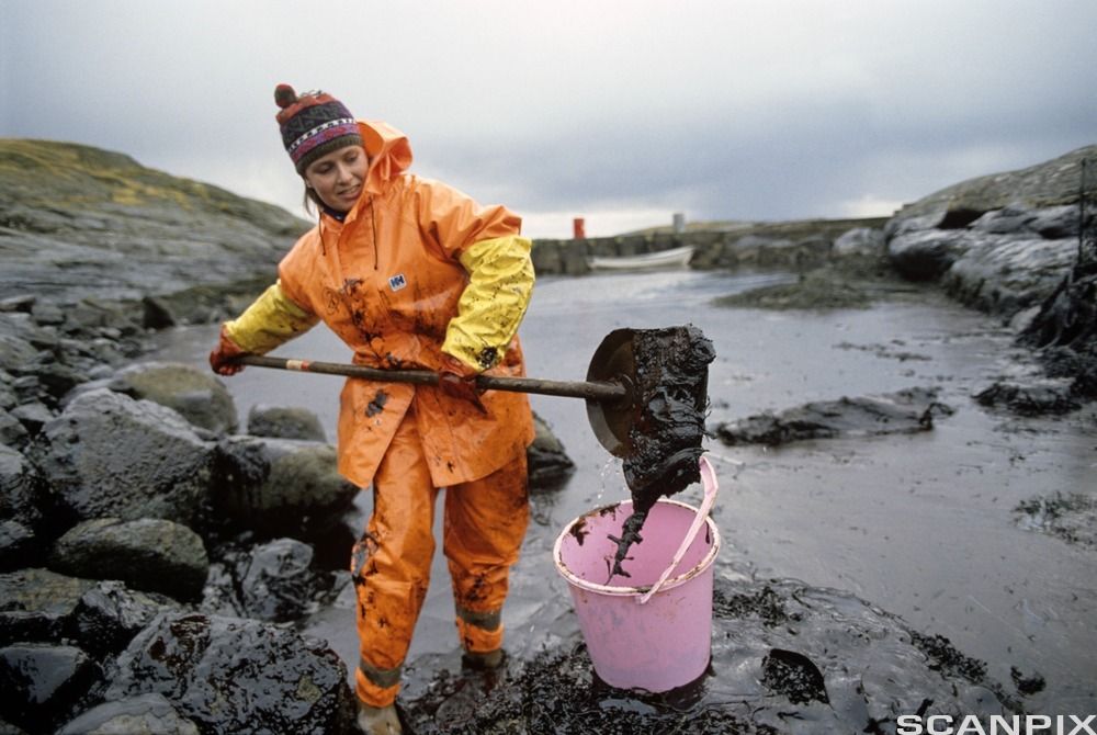 Jente i oransje regntøy spar oljesøl opp i ei rosa bøtte i fjæra. Foto.