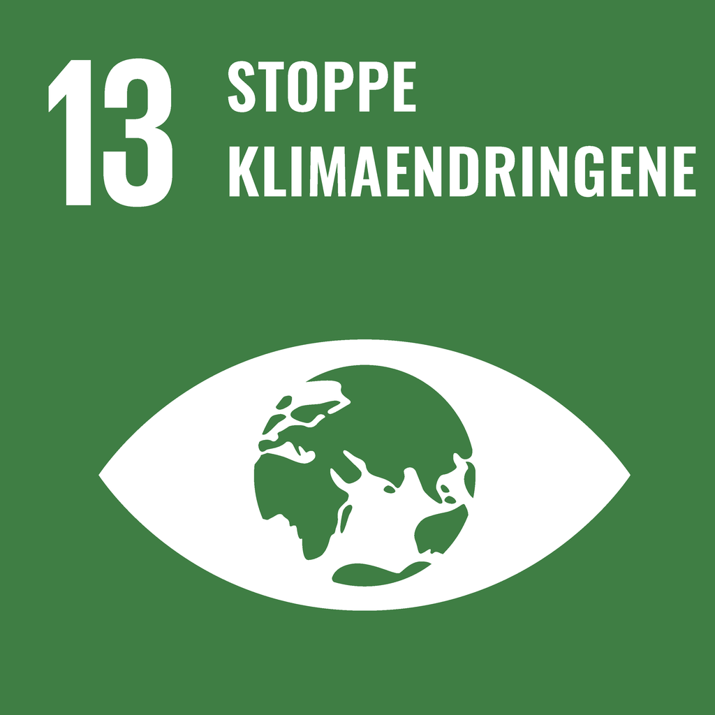 Et øye der jorda er irisen. Over øyet står det "13 Stoppe klimaendringene". Illustrasjon.