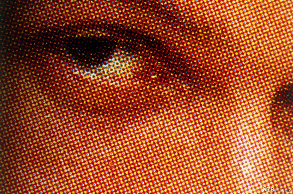 Nærbilde av et øye med rasterpunkter. Foto.