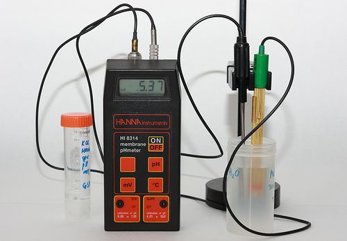 Digitalt pH-meter med sensorer oppi en beholder. pH-verdi i displayet er 5,37. Foto.