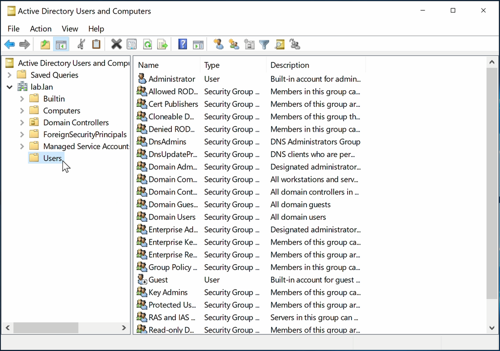 Utklipp fra «Active Directory Users and Computers». Vinduet er delt i to kolonner: Til venstre er det navigasjon, og til høyre er det en detaljert liste. Skjermbilde.