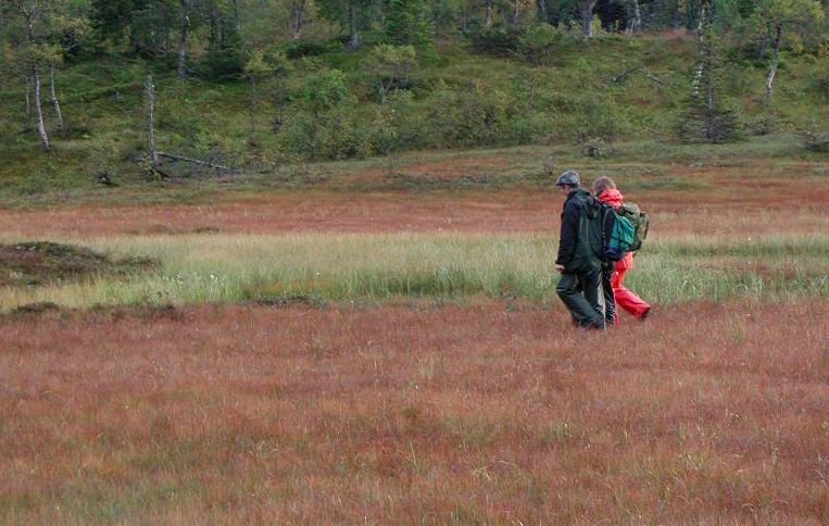 To personer går over en rød myr. Foto.