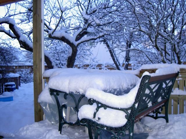 Snødekte hagemøbler. Snøkledde frukttrær i bakgrunnen. Foto.