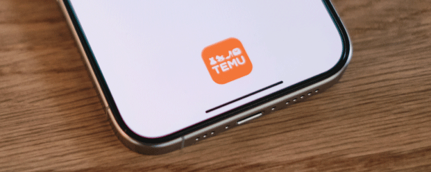 جزائري يشتري من تيمو على شاشة الهاتف