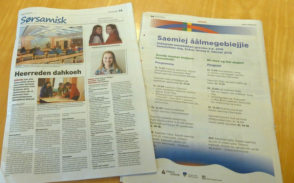 Artihkelh plaereste Snåsingen. Guvvie.