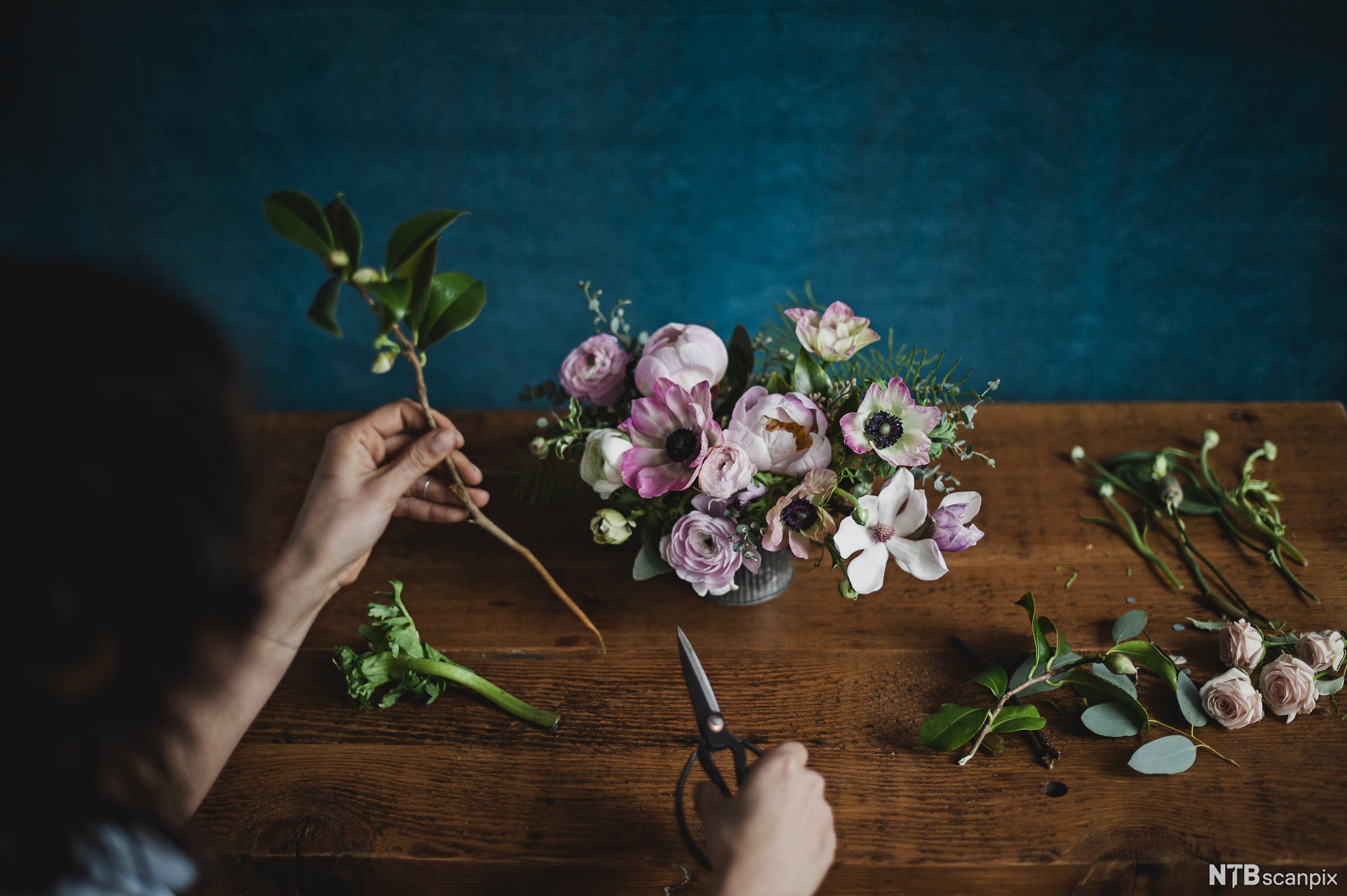Hender som jobber med blomster. Foto.
