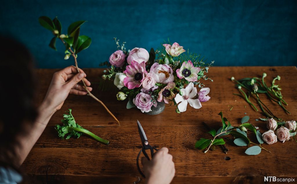 Hender som jobber med blomster. Foto.