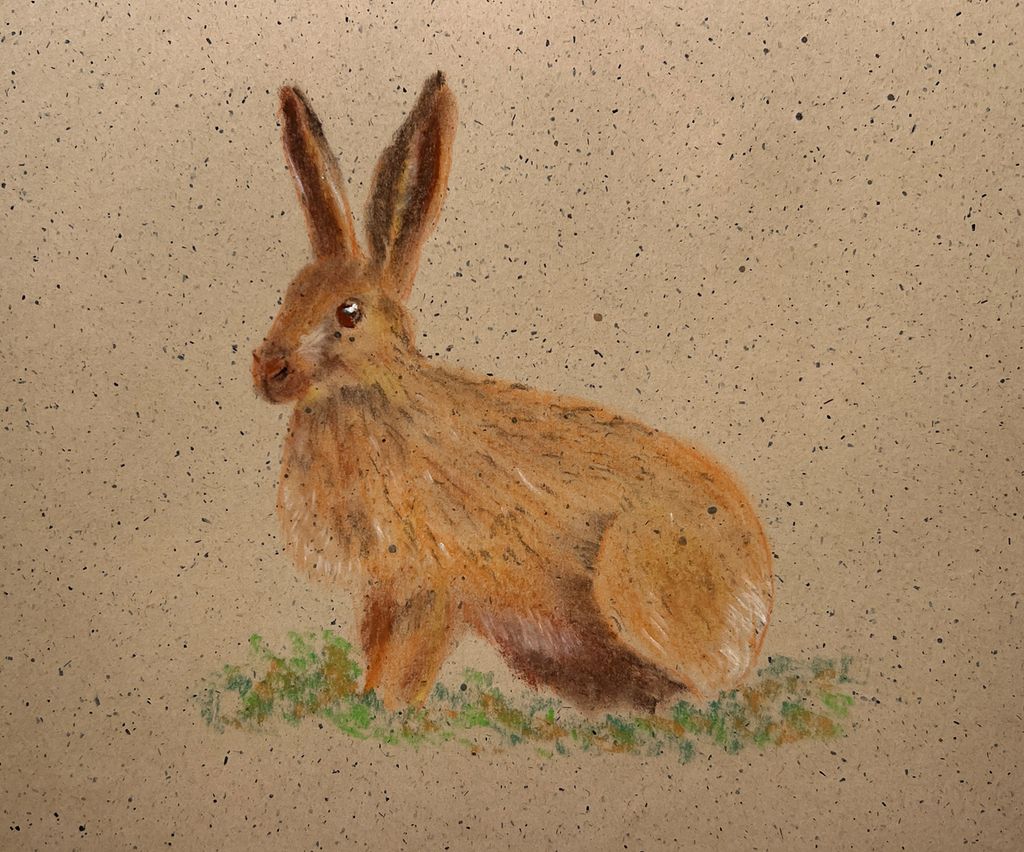 Pastelltegning av en hare. Illustrasjon.