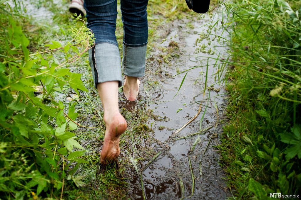 Båadts-juelkien vaedtsieminie. Guvvie.