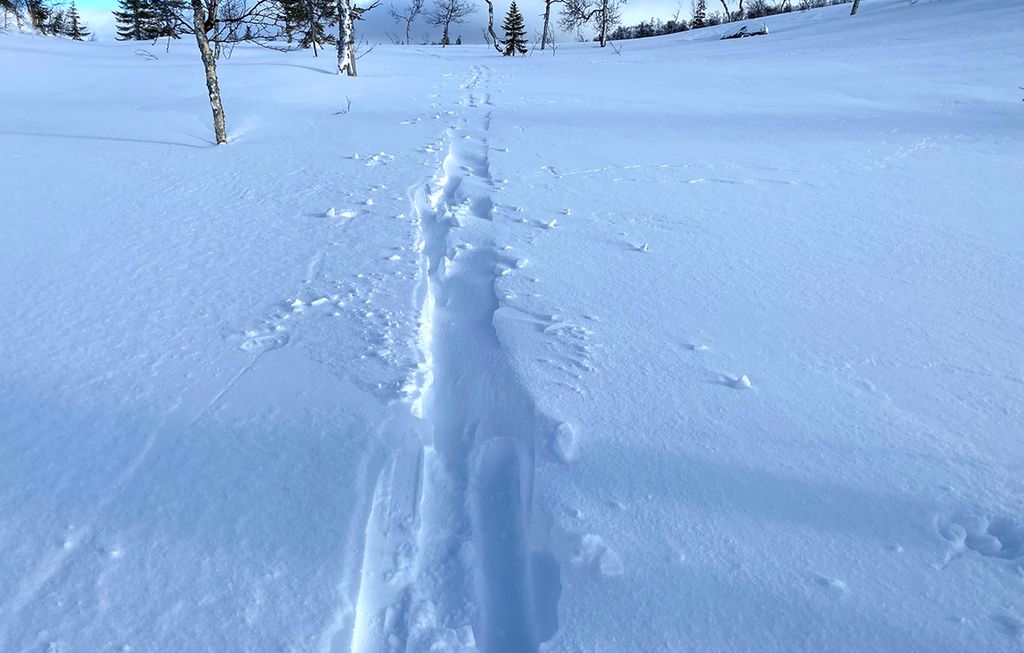 Laatege mij gåaltoedamme. Guvvie.