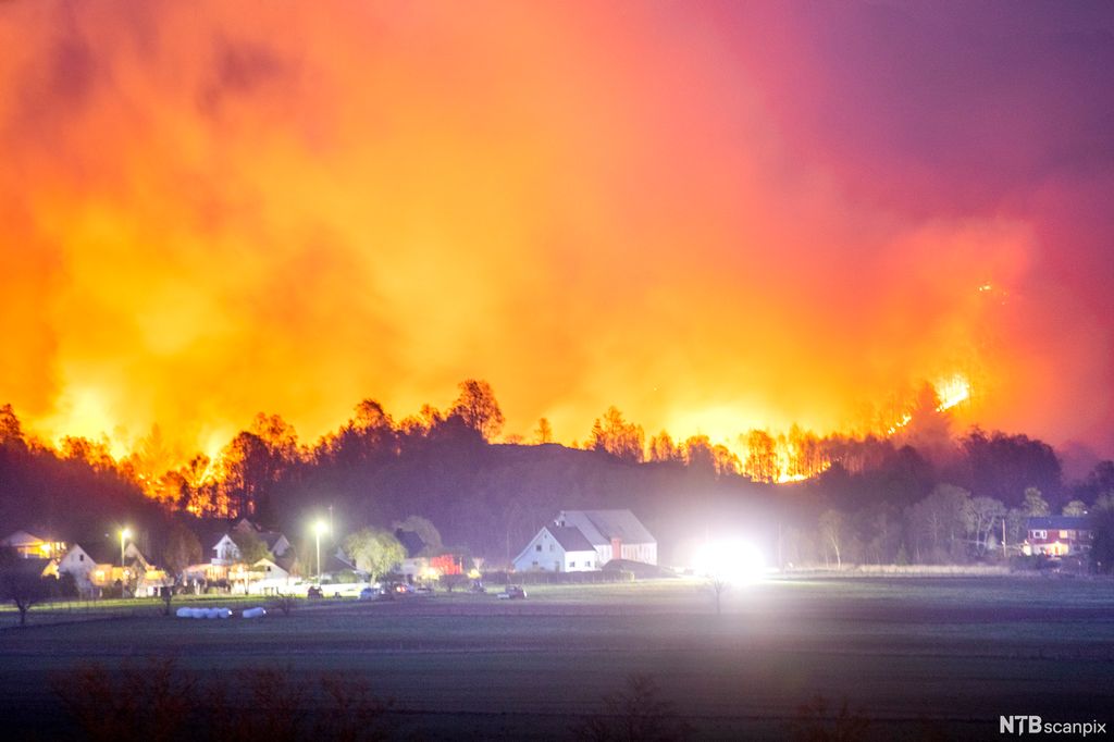Bebyggelse med skogbrann i bakgrunnen. Foto.