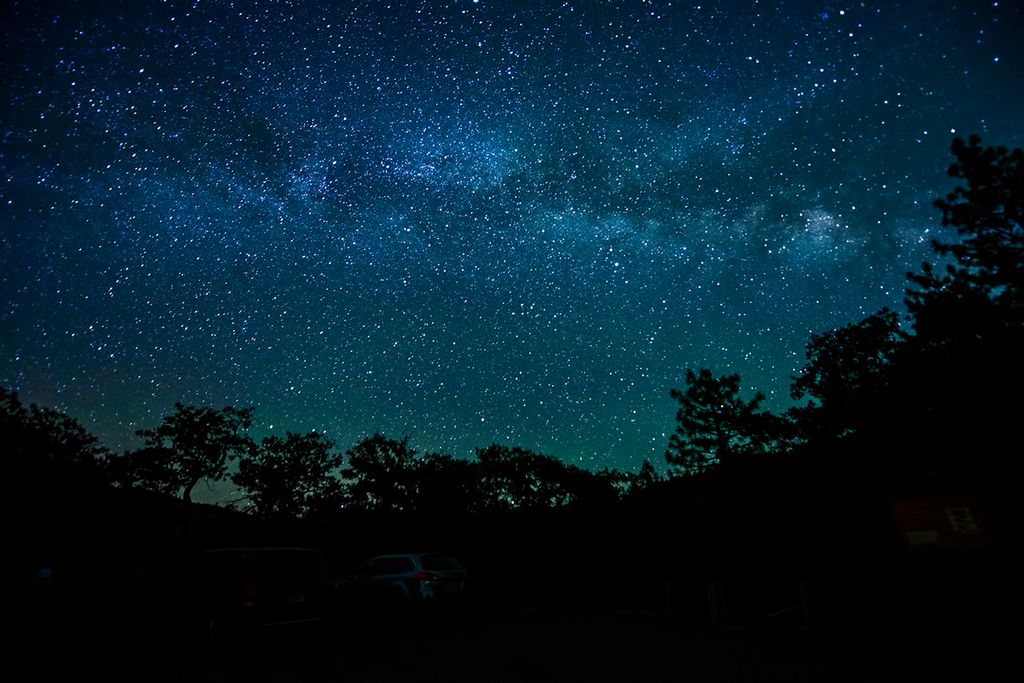 Mørk silhuett av mange trær med en stjernehimmel som viser Melkeveien i bakgrunnen. Foto.