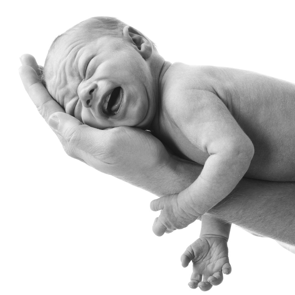 Baby ligger i fars hender. Foto.