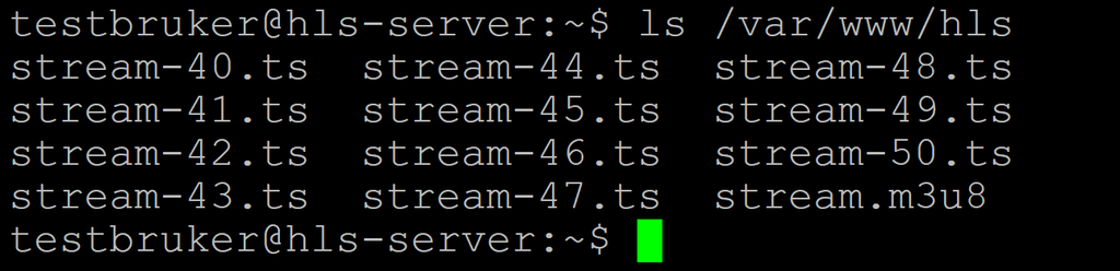 Kommandoen "ls /var/www/hls" kjøres og flere filer vises. Skjermbilde.