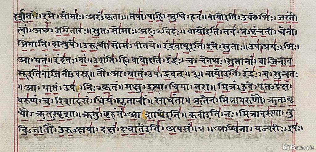 Håndskrevet manuskript skrevet på sanskrit (et gammelt indisk språk). Foto.