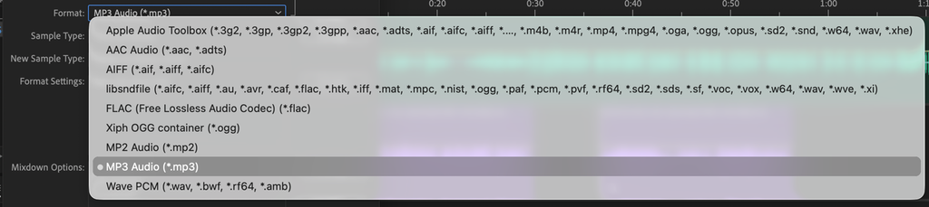 Liste der man kan velge mellom ulike filformater. Skjermdump.