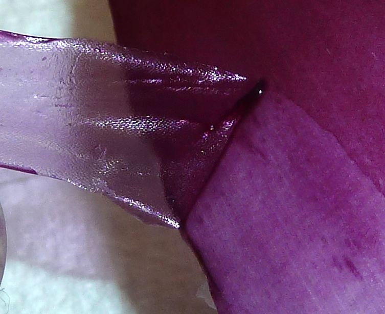 Et tynt lag med rød hud rives av en rødløk. Foto.