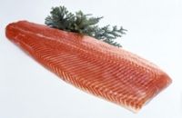 Ørretfilet. Foto.