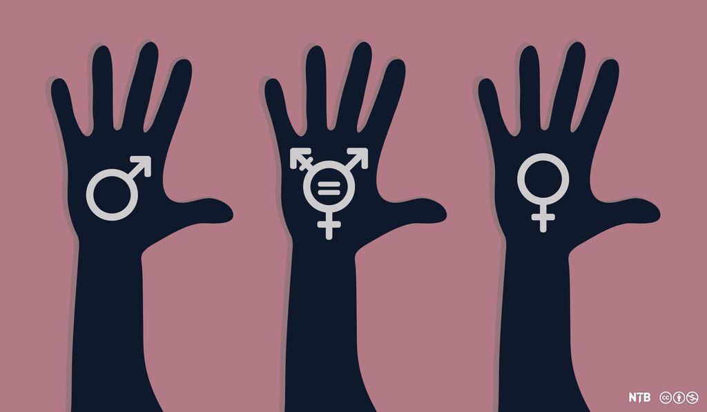 Three hands on a pink background. Each hand has a symbol. The first has the symbol for man, the second for transgender, the third for woman. Illustration.