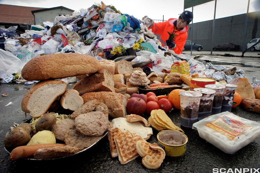 En haug med husholdningsavfall: kjøttkaker, pølser, bønnespirer, vafler, leverposteiboks, nugattiboks, yoghurtbegre, epler, blomster, brød, melkekartonger, plastposer, aluminiumsfolie og mye mer. Foto.