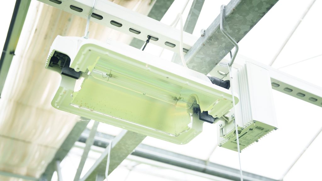 Nærbilde av taklampe i veksthus. Foto.