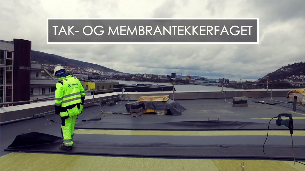 Taktekker på tak. Foto.