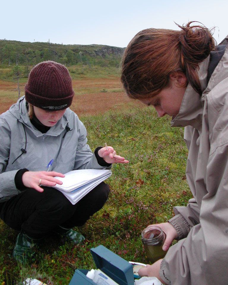 Guokte oahppi dahtáid čoaggime gieddebarggus. 