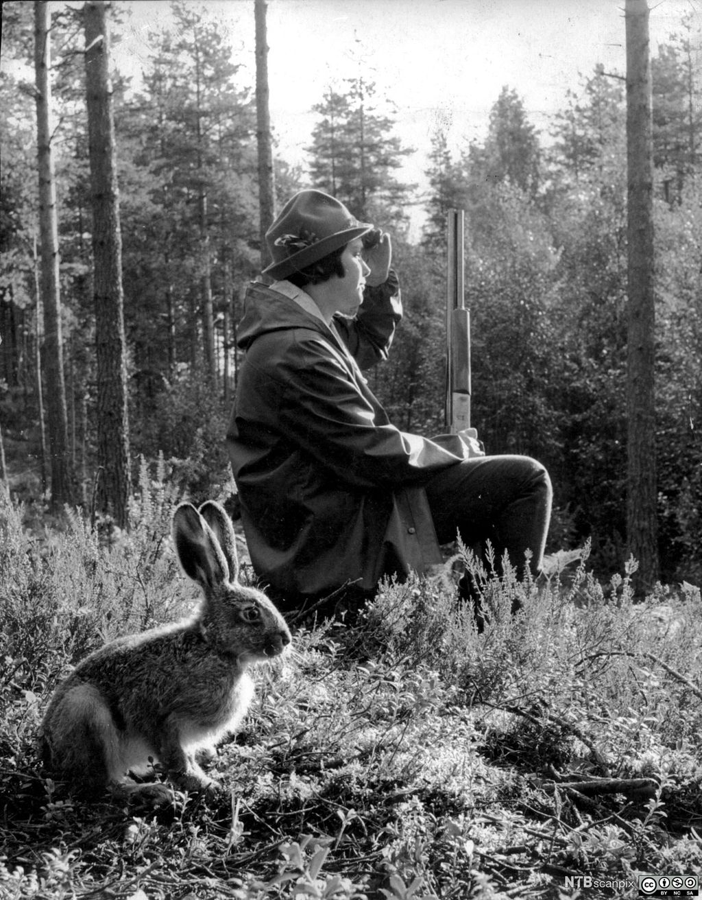 Harejeger på post. Ved siden av står en hare. Foto. 