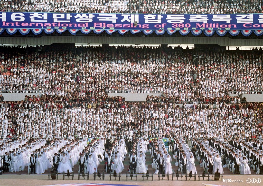 Stadion fylt med brudepar. Bannere med koreansk skrift. Foto.