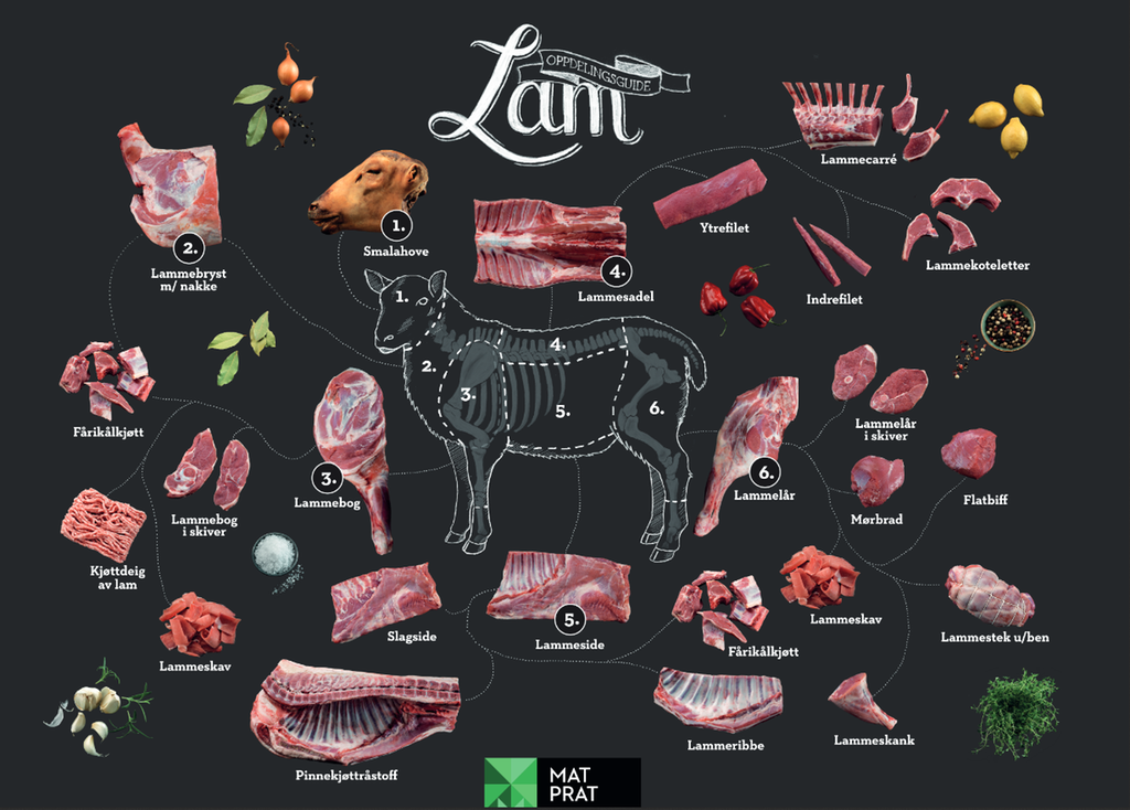 Plansje som gir oversikt over kjøttproduktene vi får fra et lam. Øverst står det Lam. Oppdelingsguide. Midt på er det en illustrasjon av kroppen til et lam, og på denne er det markert hvor vi finner de ulike stykningsdelene – seks i alt: lammehode, bryst med nakke, lammebog, lammesadel, lammeside og lammelår. Detaljer i plansjen beskrives i artikkelen. Illustrasjon.