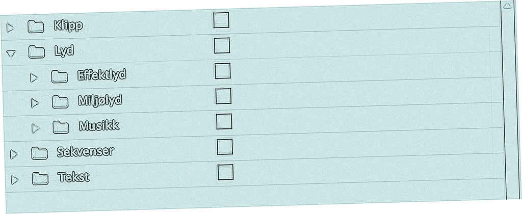 Mappestruktur i videoredigeringsprogram. Skjermdump.