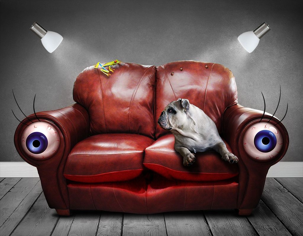 Hund og frosk i sofa. Sofaen har et stort øye i hvert armlene. Illustrasjon.