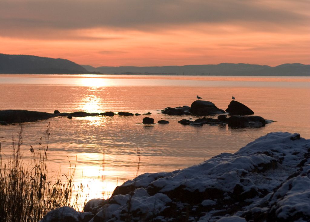 Solnedgang Oslo. Fotografi.