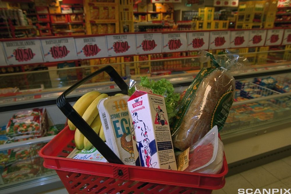 Handlekurv med matvarer. Foto.