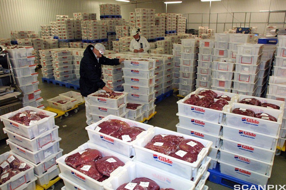 Kasser med ferske kjøttprodukter på kjølelager. Foto.