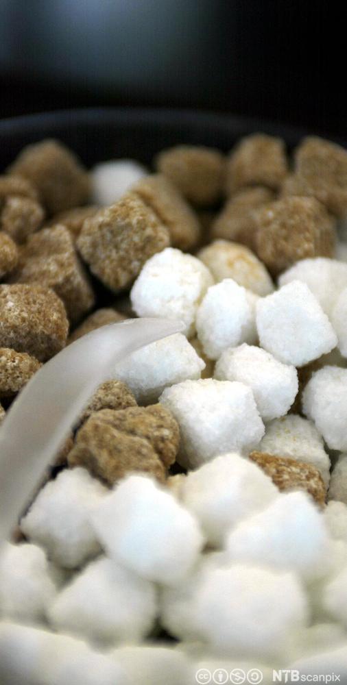 Brune og kvite sukkerbitar blanda. Foto.