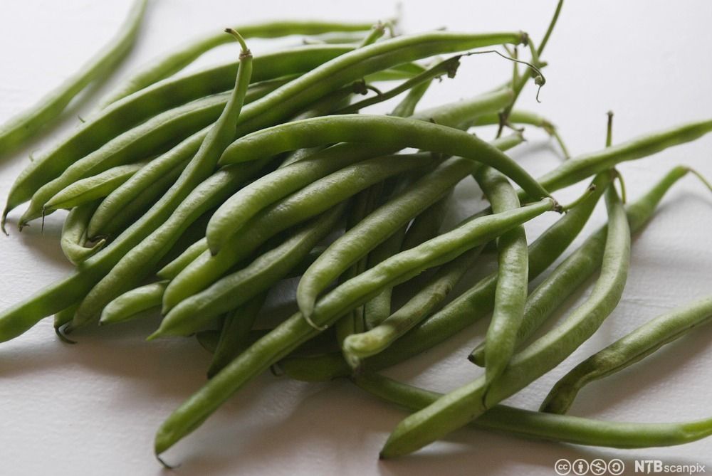 Lange, tynne grønne bønner i en haug på hvitt bord. Foto.