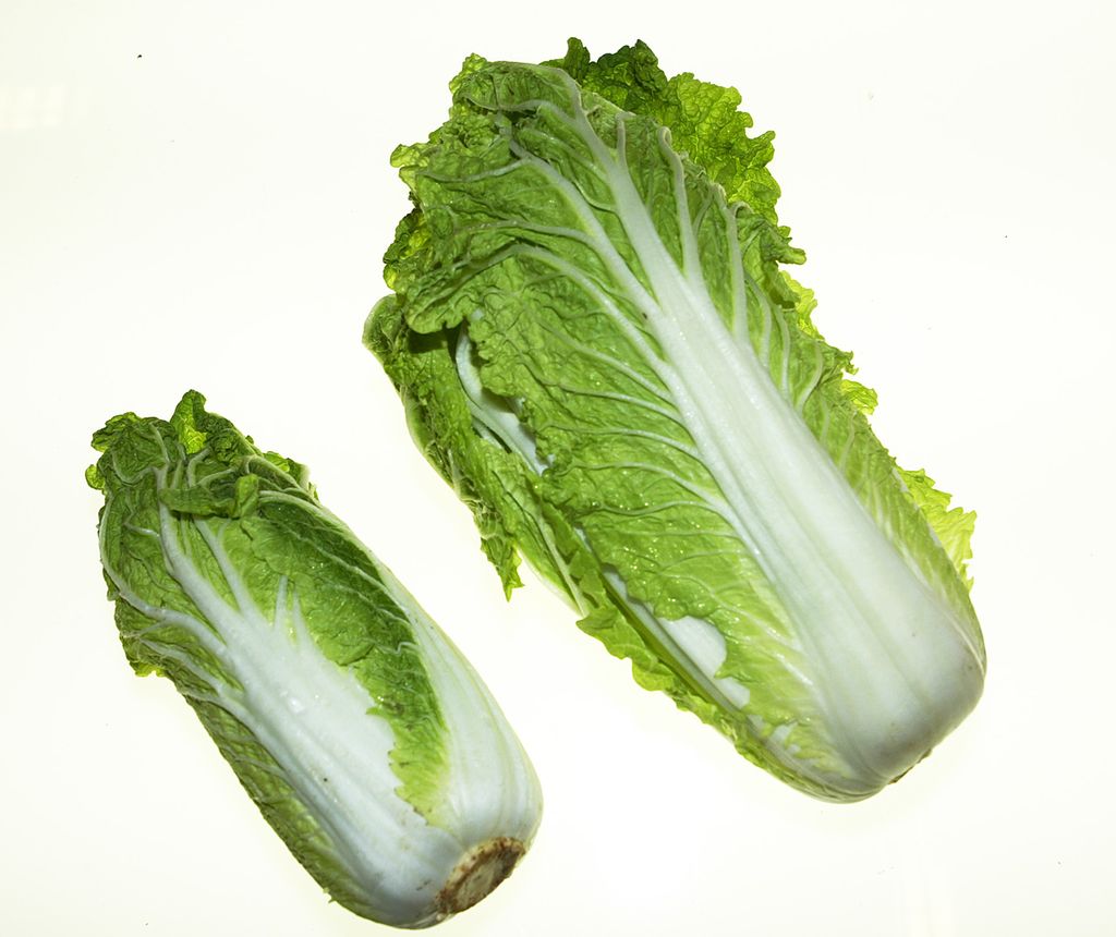 Grønnsaker med tette blader som er hvite i kjernen og grønne ytterst. Foto.