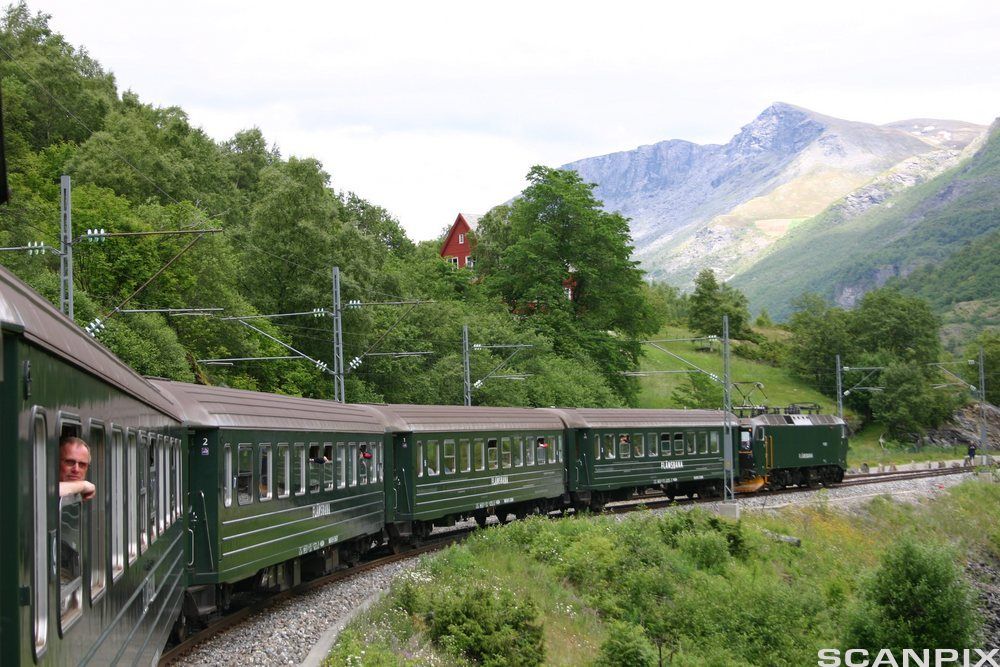 Flåmsbanen. Tog i frodig natur med høye fjell i bakgrunnen. Foto.
