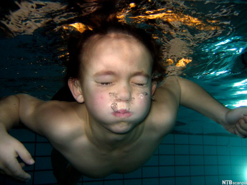 Barn som holder pusten under vann. Foto.