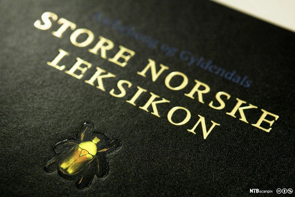 Boksforsida til Store norske leksikon. Foto.