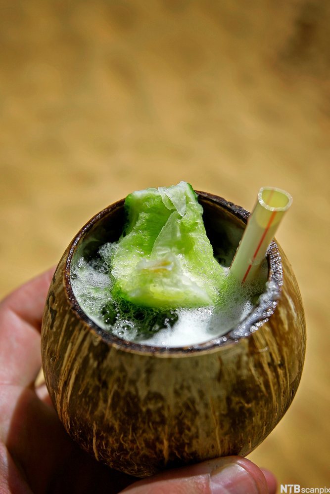Kokosnøtt brukt som glass med caipirinha og sugerør oppi. Foto.