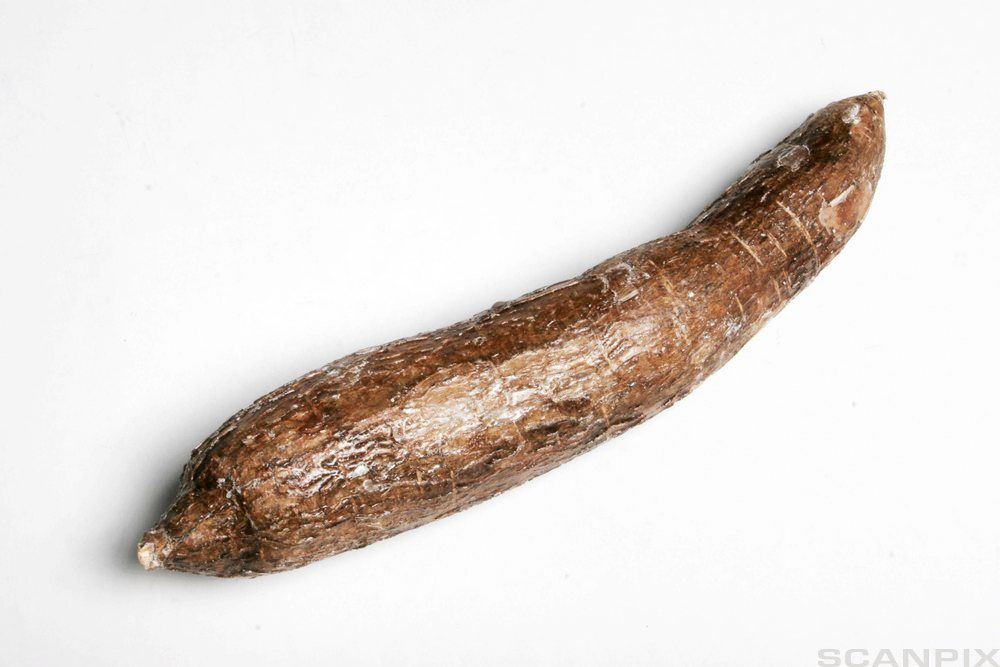 Brun, avlang grønnsak. Foto.