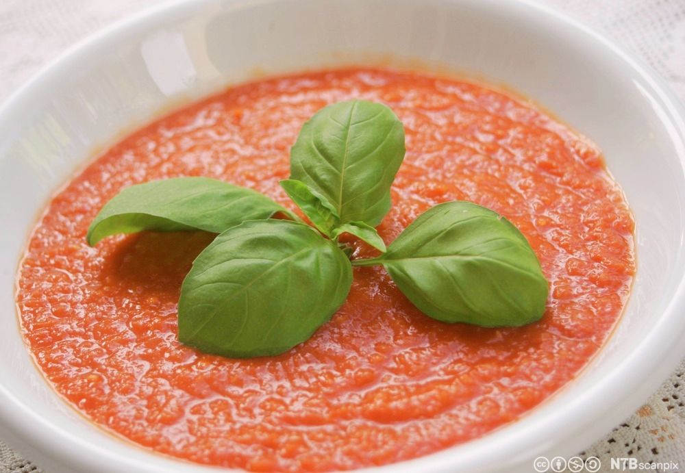 Tomatsuppe. Foto.