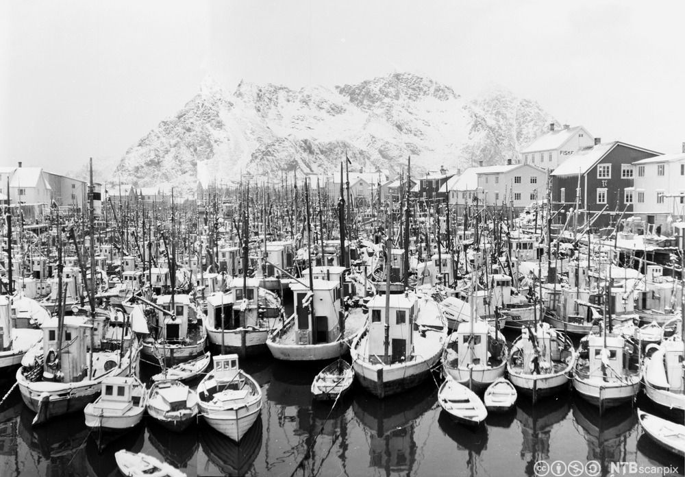 Fiskebåter tett i tett i ei havn med fjell i bakgrunnen. Svart-hvitt foto.