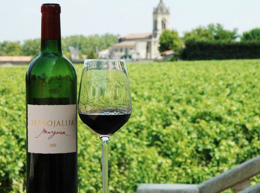 Ei flaske og eit glas med raudvin framfor ein vingard. Foto.