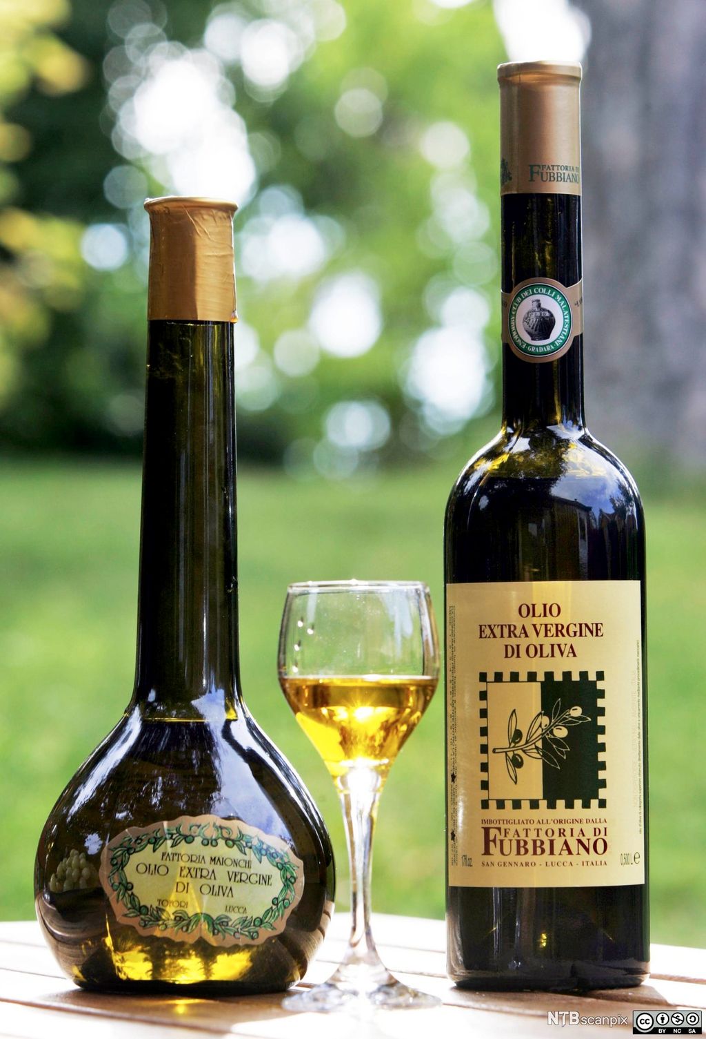 Eksklusiv olivenolje. Foto.