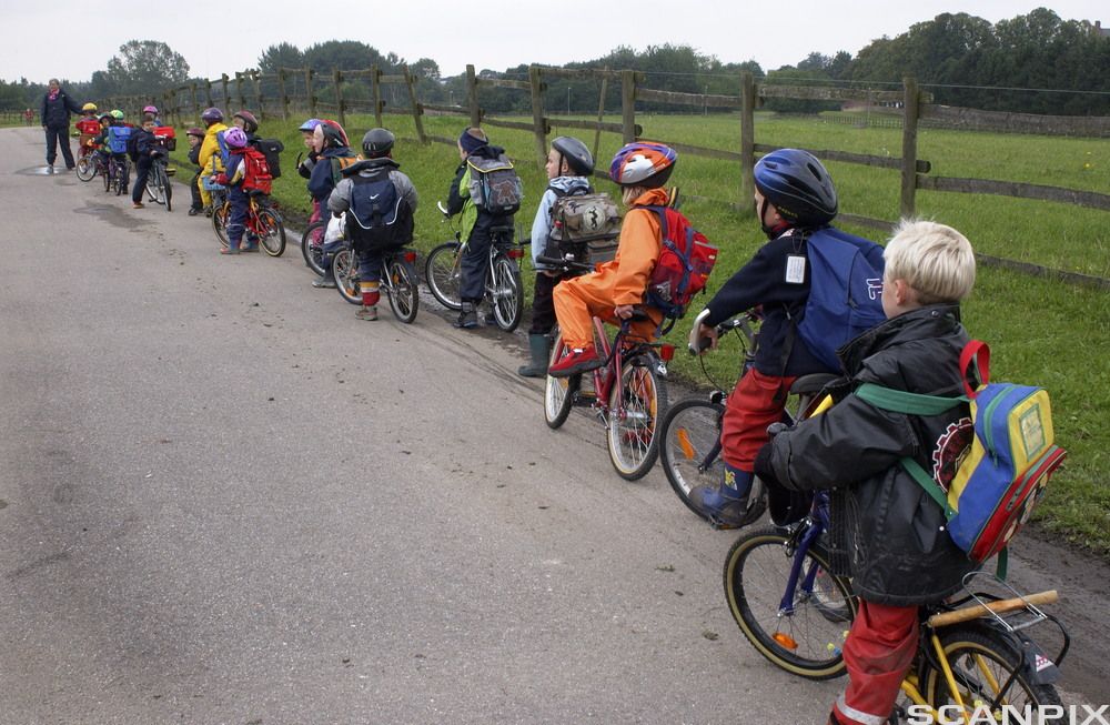 Skoleklasse på sykkeltur. Foto.