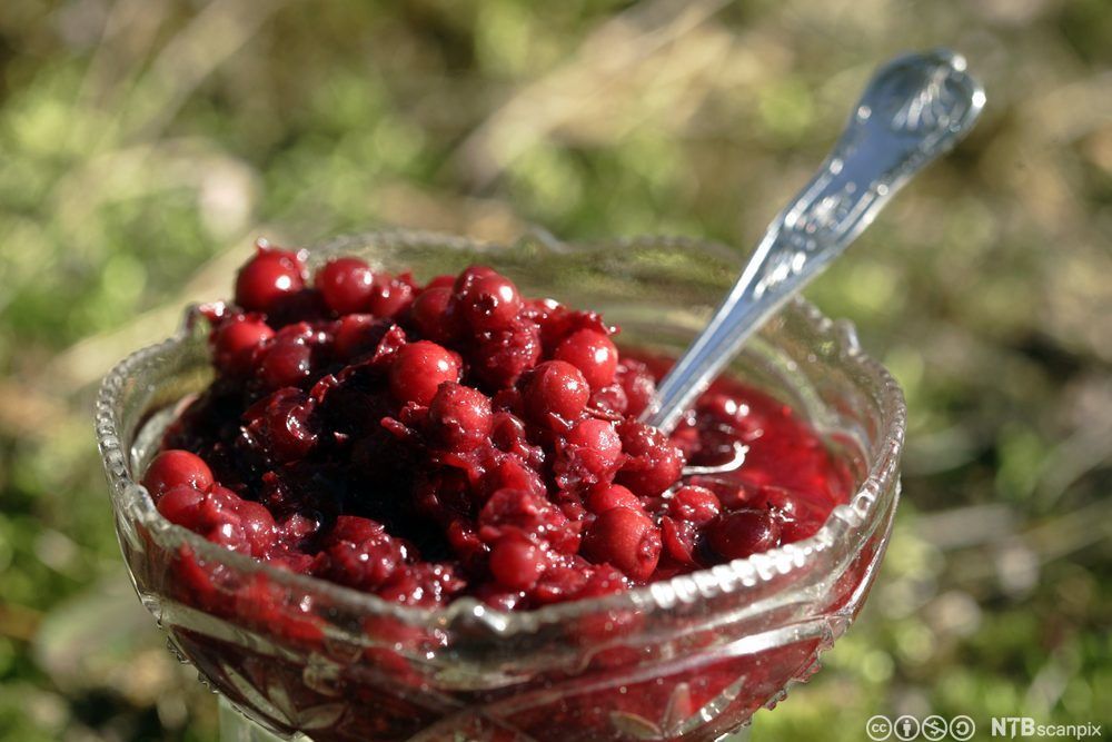 Skål med raudt syltetøy. Foto.